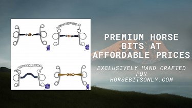 Horse bits at affordable prices